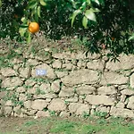 Banduja Reserve - Slow By Nature *