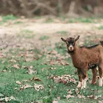 Lodge Banduja Reserve - Slow By Nature *