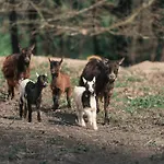 Banduja Reserve - Slow By Nature *