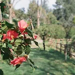 Banduja Reserve - Slow By Nature Lodge