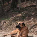 Banduja Reserve - Slow By Nature
