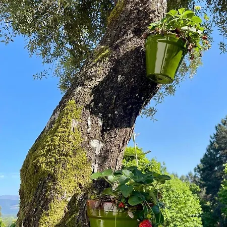 Casas Da Casa Do Telho *