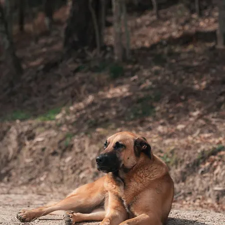 Banduja Reserve - Slow By Nature