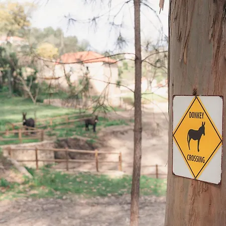 Banduja Reserve - Slow By Nature *