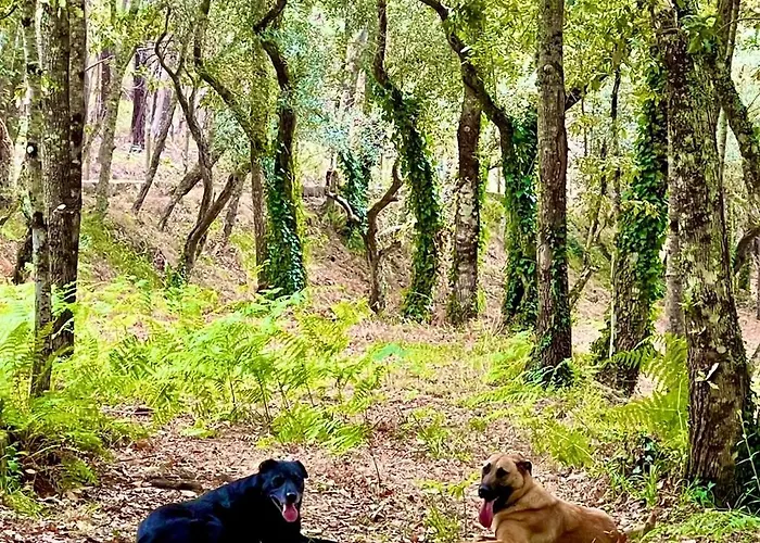 Lodge Casas Da Casa Do Telho *