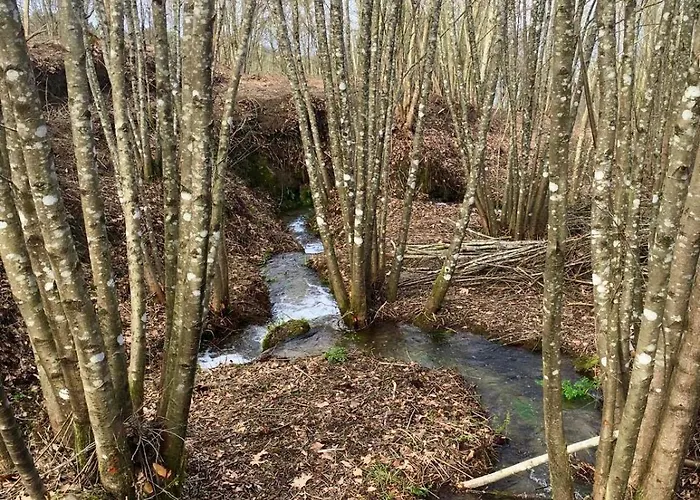 Lodge Casas Da Casa Do Telho Celorico De Basto