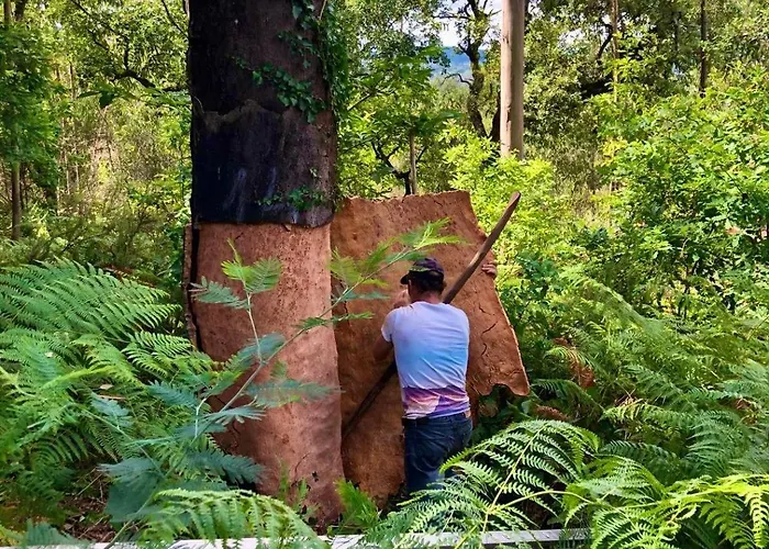 Casas Da Casa Do Telho بيت خشبي