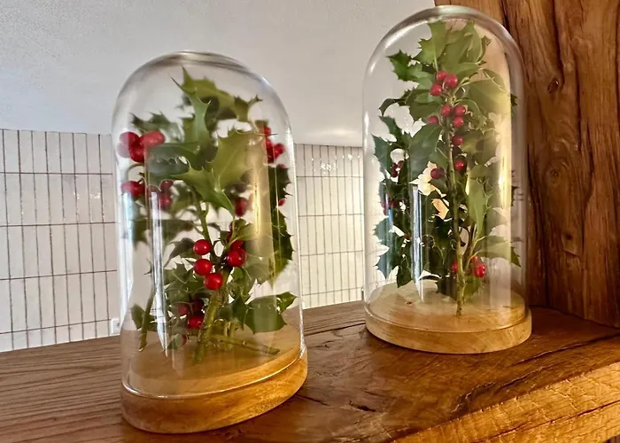 Casas Da Casa Do Telho * Celorico De Basto