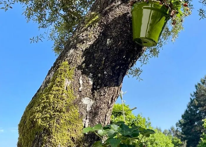 Casas Da Casa Do Telho *