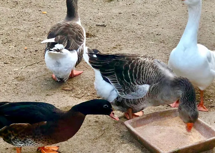 Casas Da Casa Do Telho Lodge *