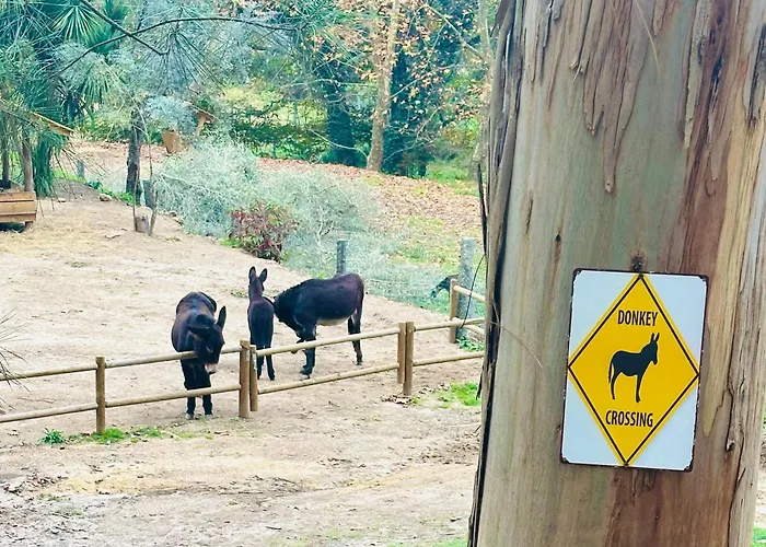 Casas Da Casa Do Telho * Celorico De Basto