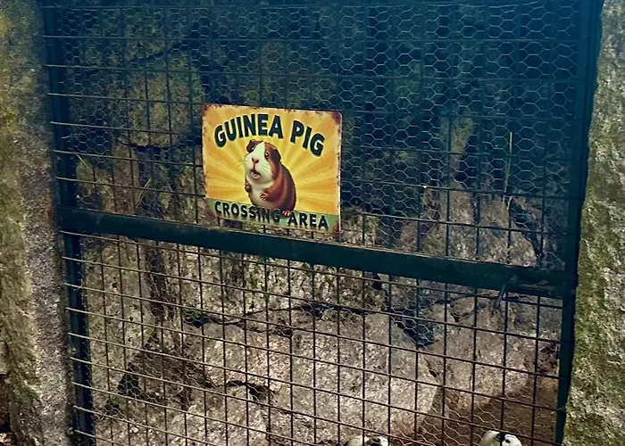 Casas Da Casa Do Telho سيلوريكو دي باستو