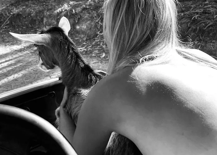 Casas Da Casa Do Telhô *