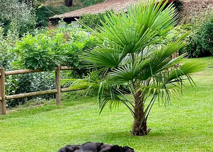 Casas Da Casa Do Telhô *