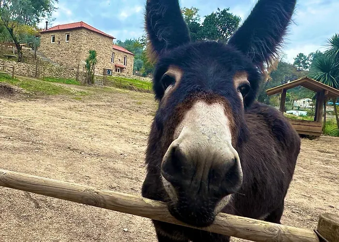 بيت خشبي Casas Da Casa Do Telho